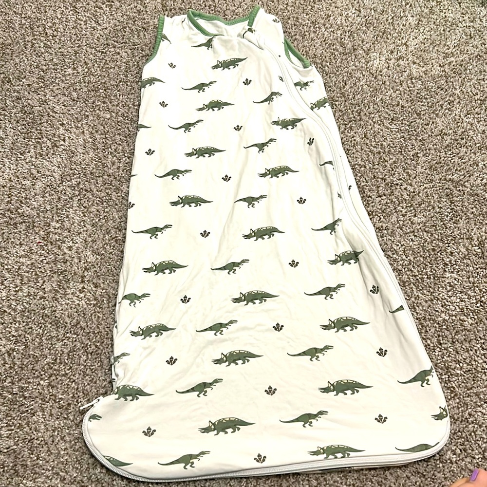 Kyte Baby Sleep Sack 🦖